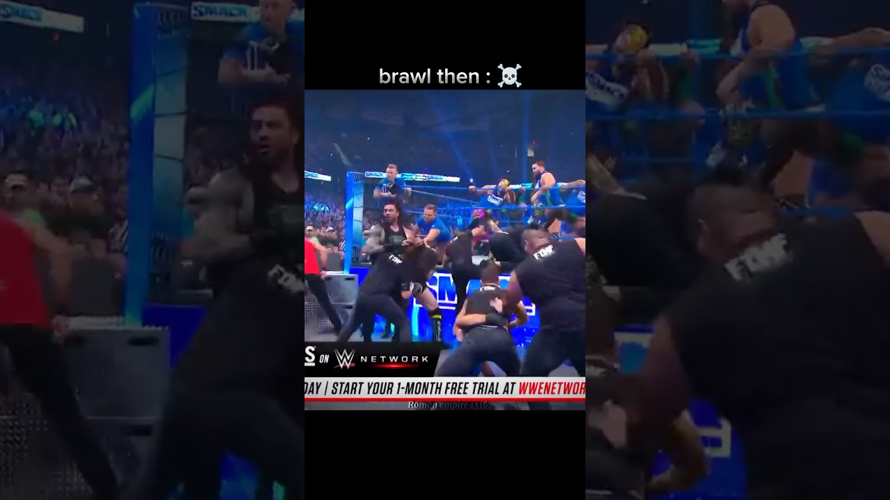 WWE brawl now 🤡 vs then ☠️