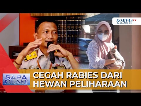 Video: BERITA BREAK: Aturan Baru Tentang Hewan Piaraan Terkena Rabies