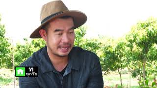 เกษตรไทยไอดอล | EP.32 มะเดื่อฝรั่ง Figs