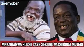 Mnangagwa Huchi Says Sekuru Vachibuda Mujeri Ne Amnesty