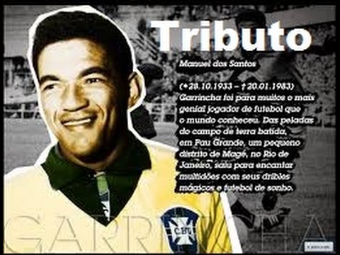 Tributo a Mané Garrincha - Balada Nº 7 - Moacyr Franco