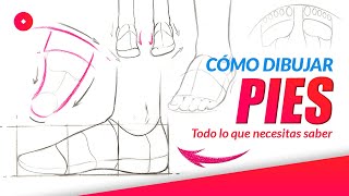 CÓMO DIBUJAR PIES paso a paso | tutorial de anatomía