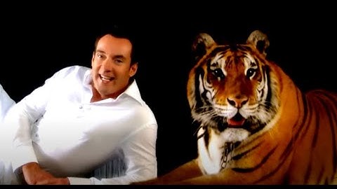 Gerard Joling - Ik Leef Mijn Droom (Officiële Videoclip)