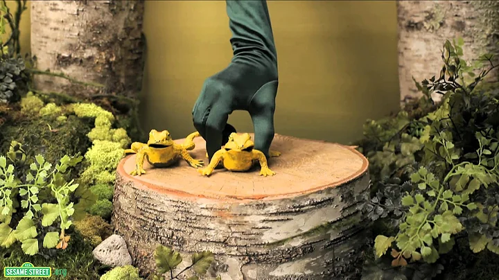 Sesame Street: Number 3 in the Forest