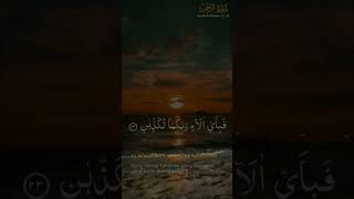 Murotal Quran II Ar-Rahman 21-30