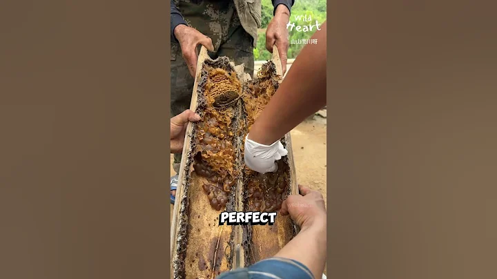 How to Make a Palm Leaf Raincoat.