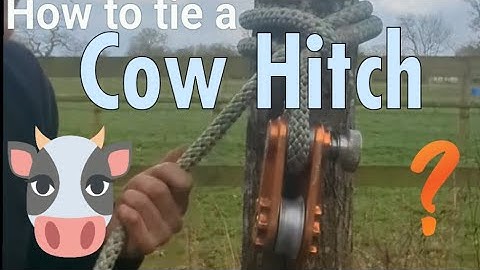 How to tie a Cow Hitch (Best Rigging knot) | Arborist Knots
