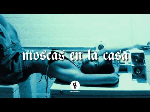 shakira // moscas en la casa [Legendado/Lyrics]