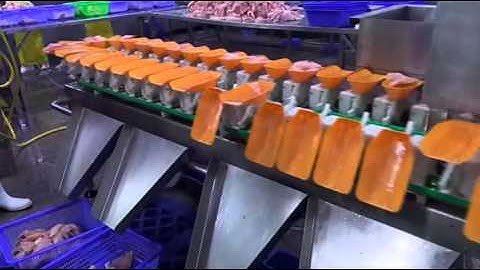 Rotary Weight sorting machine working on flesh