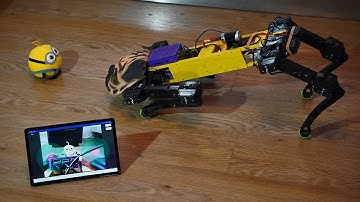 The new Remote Control based on ROS Java with video camera output and IMU