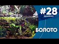 Очень симпатичное "Болото" #Aquacontest