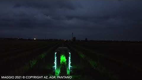The zero chemicals vineyard