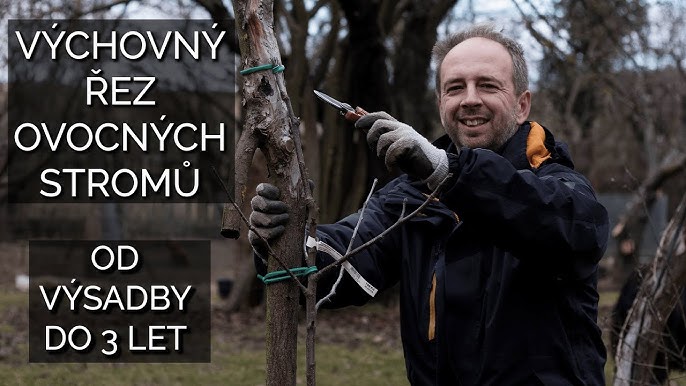 Rez Ovocnych Stromu Video