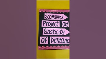 Economics Project on Elasticity Of Demand Class11th #economics #project #parulcreations