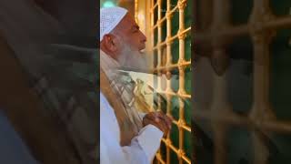 Download Lagu Lailaha illallah Muhamaadur Rasulallah♥️ السلام عليكم ورحمة الله وبركاته#cute #ytshorts#islam #quran MP3