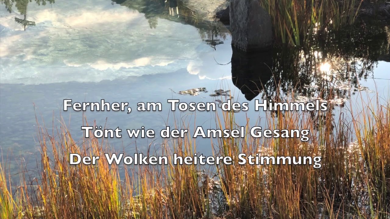 Shakuhachi: Toyo akita - Herbstfeld von Toyo