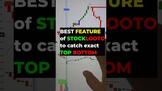 Stocklooto Master Tool