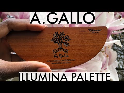 Mop brushes by Tintoretto A.Gallo Colors — A. Gallo Colors - Acquerelli  Artigianali