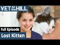 🐱 Lost Kitten Found In Bush | FULL EPISODE | S03E07 | Vet On The Hill
