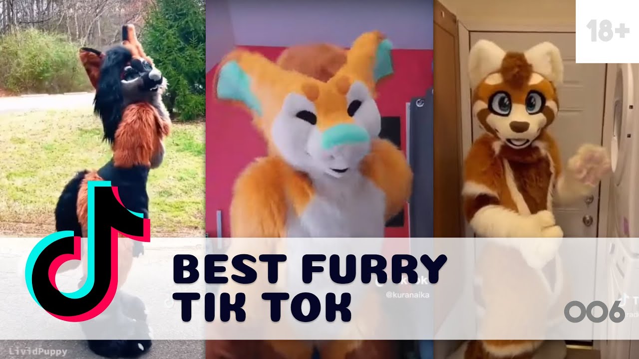 Furry Tik Tok compilation [✨ Ep 006✨]