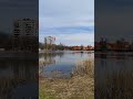 весна на пруду в Лобне