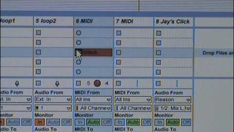 Gibson Echoplex + Ableton Live
