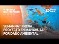 A las Seis - Semarnat frena proyecto en Mahahual por daño ambiental (20/05/2026)
