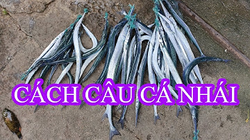 How to fish sea needle - Hướng dẫn làm mồi tơ, lông, cá cơm, cá suốt câu cá nhái, cá xương xanh