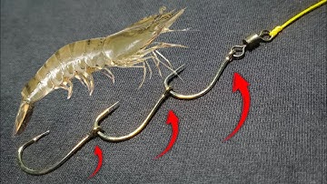How to make a triple hook fishing rod and how to put shrimp bait for bottom fishing