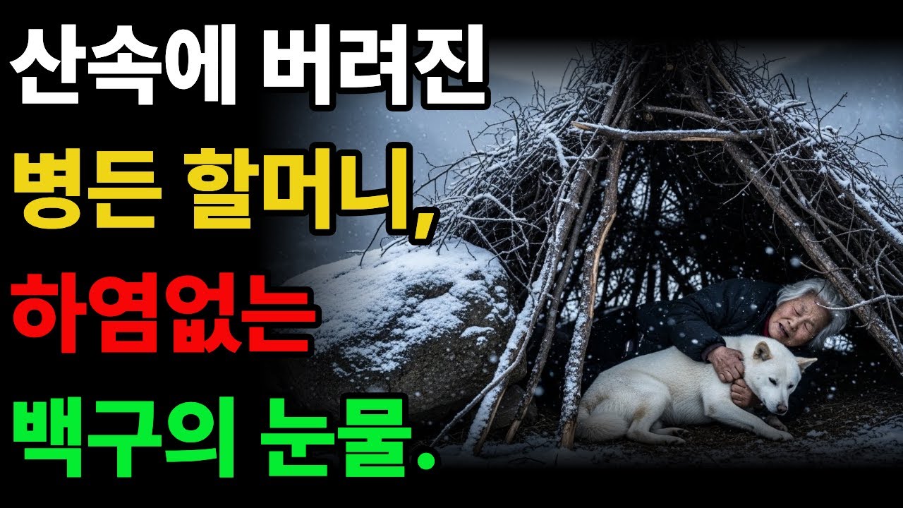백구의 눈물. 산속에 버려진 할머니. 하염없이 눈물만 흘리는 백구 #진돗개사연 #진돗개백구 #황혼사연 #감동사연 #백구 #드라마