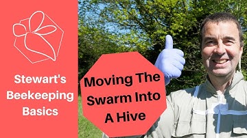 Moving The Swarm Nuc into a Full Size Hive - Stewart Spinks at The Norfolk Honey Co.