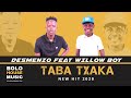 Desmenzo Taba Txaka Ft Willow Boy New Hit 2020 mp3