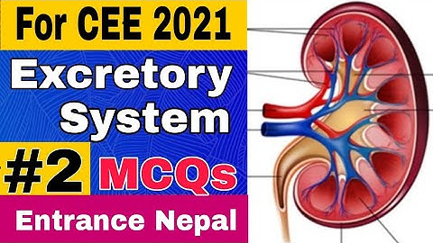 Important MCQs for CEE 2021 | Excretory System - 2 | For MBBS, BDS, BSc Nursing Entrance