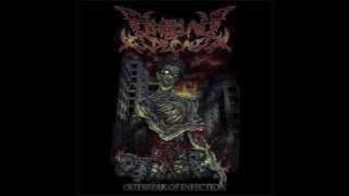 Display of Decay - Praise the Gore