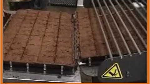 High Production Sheet Cake Cutting Machine - CS-5A2 Series