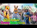 Bunny Helmet Public Reaction 😱 Girls Can’t Stop Looking at Me | R15 Raider Entry | #bunny #halmate