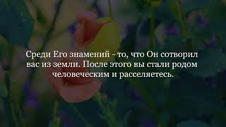 Чтение корана. чтец Саид Дубаха. сура Ар-Рум | Римляне. аяты 17-23