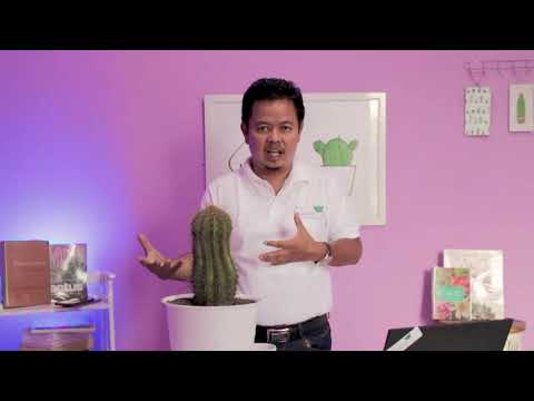 Video: Cactus ya saguaro hukaa muda gani?