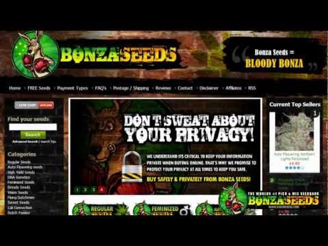 Bonza Seeds Ad - Hemp Beach TV