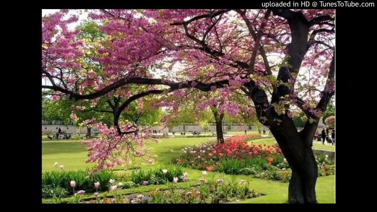 En Avril Ne Te Decouvre Pas D Un Fil Poeme Ecrit Par 3 Auteures Youtube En Avril Ne Te Decouvre Pas D Un Fil Poeme Ecrit Par 3 Auteures Youtube