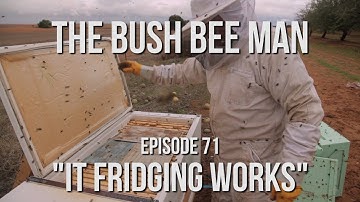 Transferring Bee into the Top Bar Fridge Bee Hive - Episode 71: "It Fridging Works"