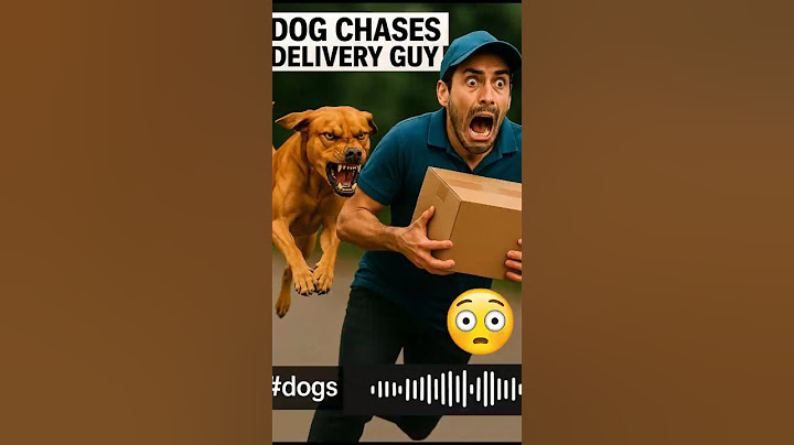 7 Hilarious Moments of Dogs Meeting Delivery Drivers! 🐶📦😂#FunnyDogs #DeliveryFails #DogVsDriver