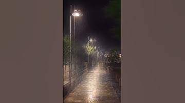 سورة الغاشية بصوت عبدالرحمن مسعد
