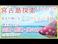 【4k】【33分33秒】【宮古の海に龍体文字】神の島沖縄宮古島・見るだけ聞くだけで心身浄化・絶対癒感【宮古島・α波・睡眠・作業・瞑想・脳の疲れ癒し・空間浄化・クリアリング・天使音】