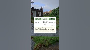 ‏ياسر الدوسري يتلو آية من #سورة_هود #القرآن_الكريم #ياسر_الدوسري #اكسبلور #ياسر_الدوسرى