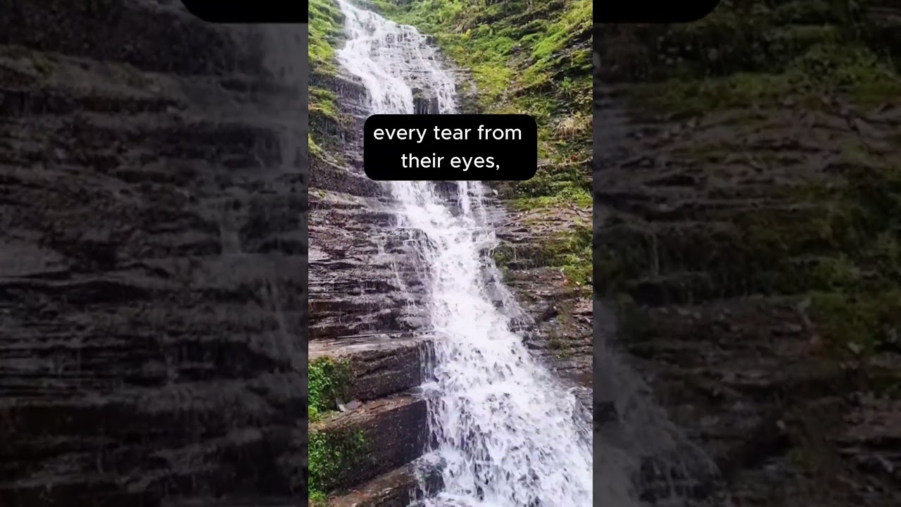 Water of Life | Rev 22:1-5