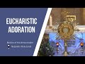 Eucharistic Adoration at the Basilica of the Annunciation | January 6, 2023