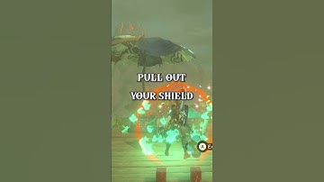 How To Get Infinite Korok Seeds in Breath of the Wild (Zelda)