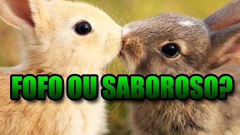 Como criar coelhos para comer em gaiolas?