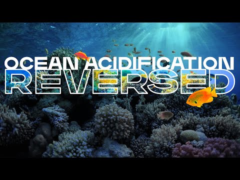 Video: Kā mainīt okeāna paskābināšanos?
